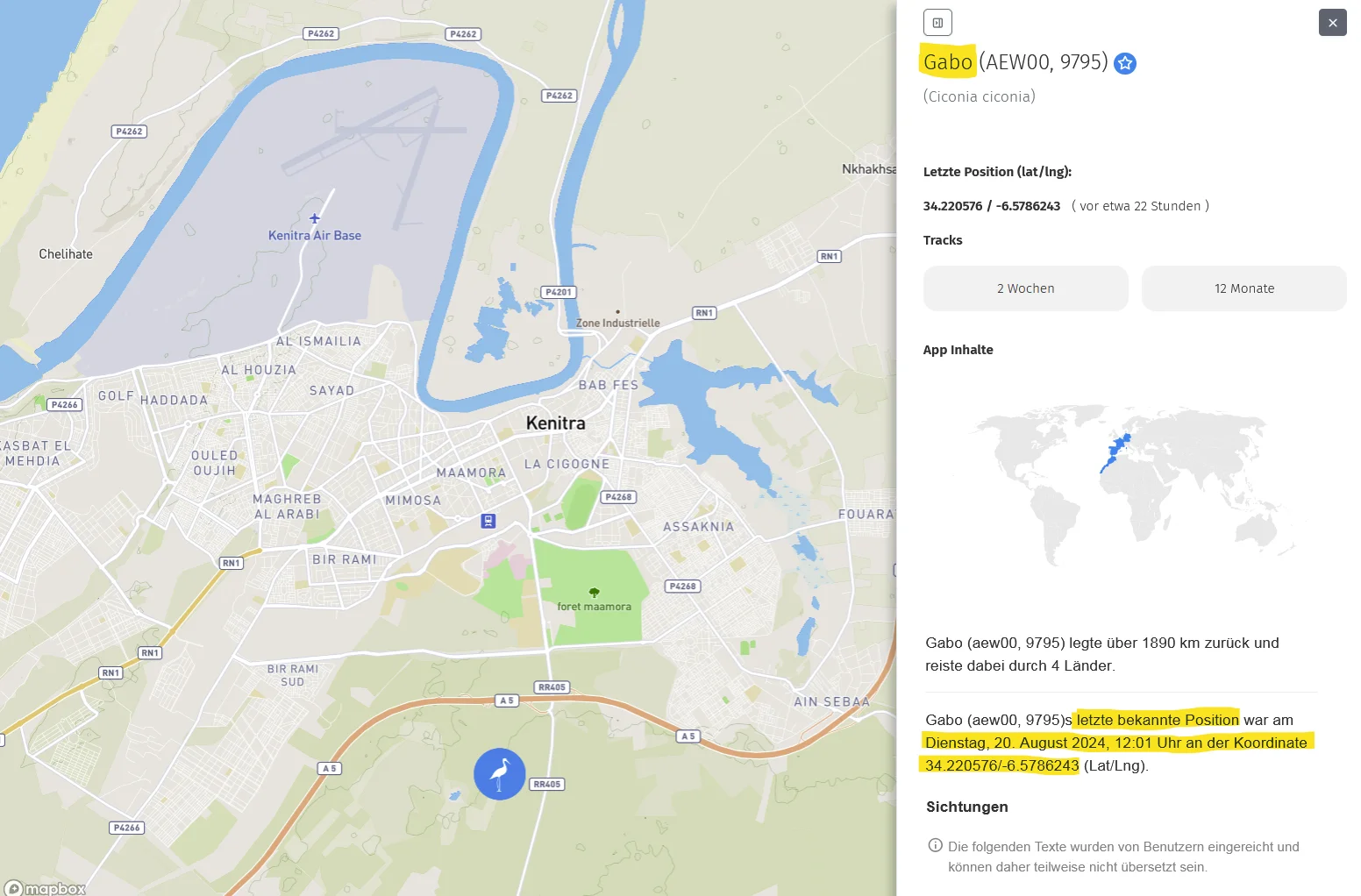 AnimalTracker_Gabo_bei-Kenitra_20Aug2024.webp