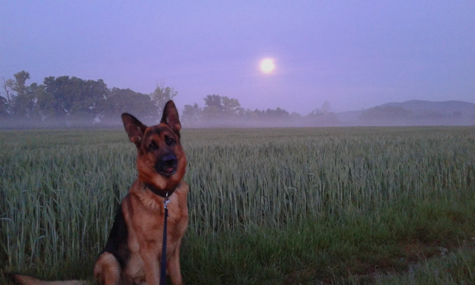 Antares und de Mond.jpg
