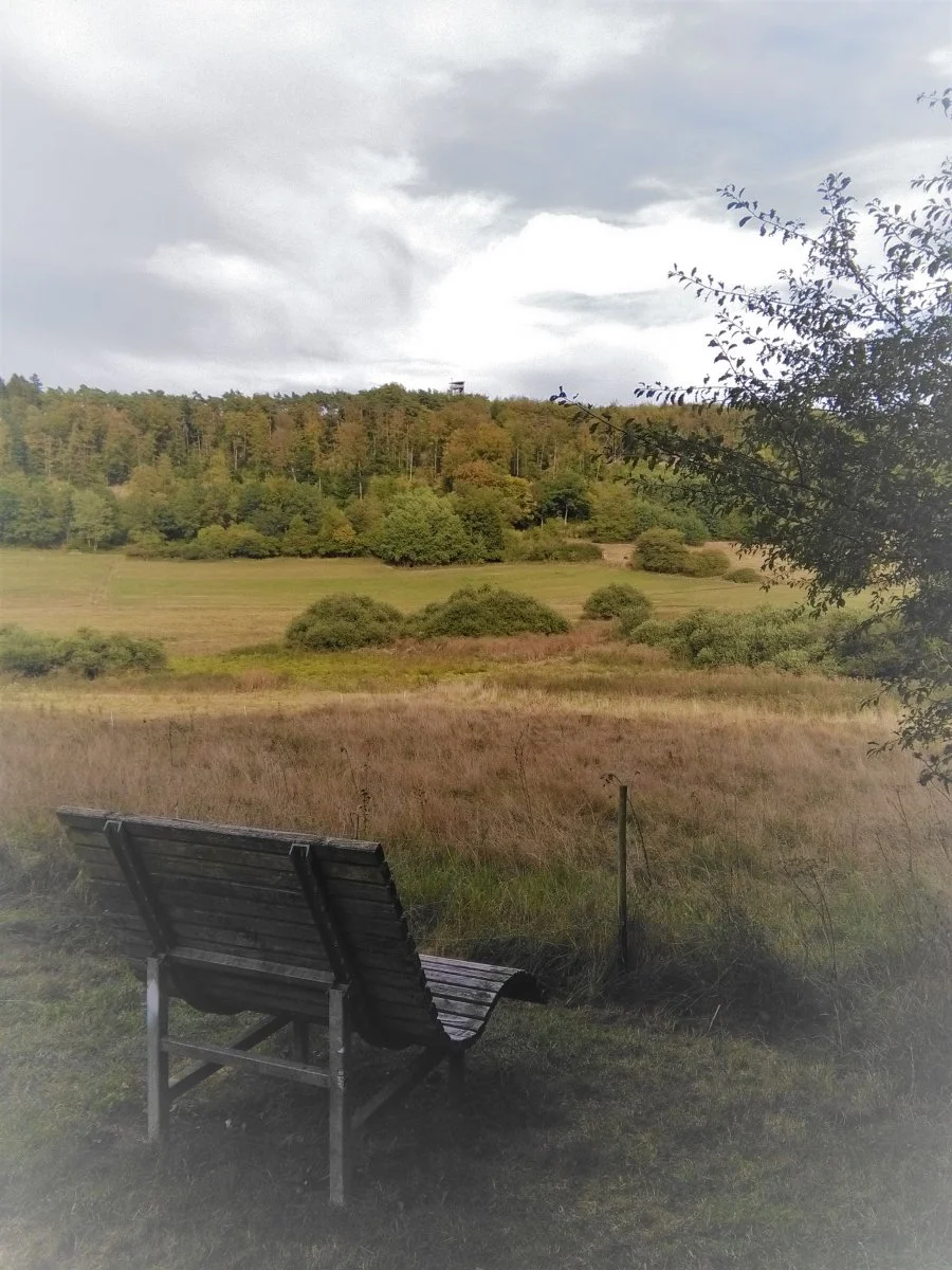 Aussicht.jpg