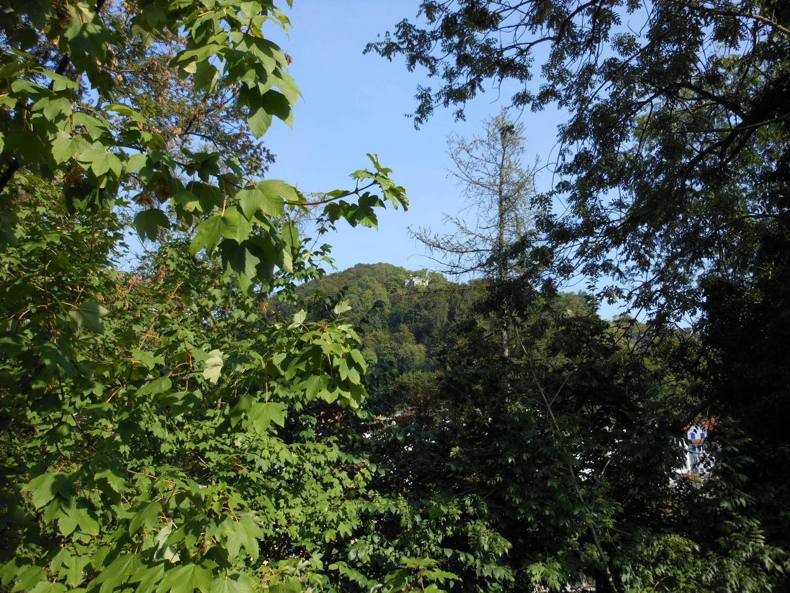 B0097Res.JPG