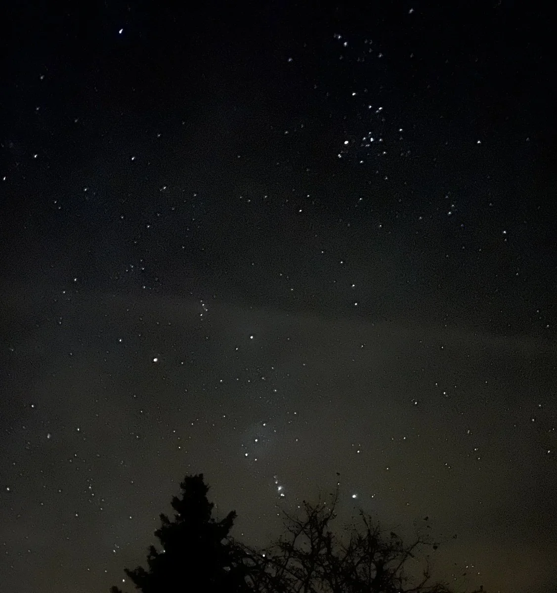 B168D804-5752-4253-861D-93482AE3EBC4.jpeg