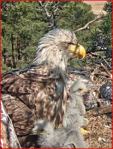 Bad an der frischen Luft.JPG