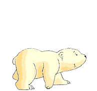 baer_39.gif
