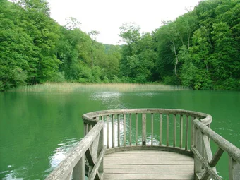 Balsam fr die Seele