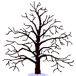baum_0075.gif