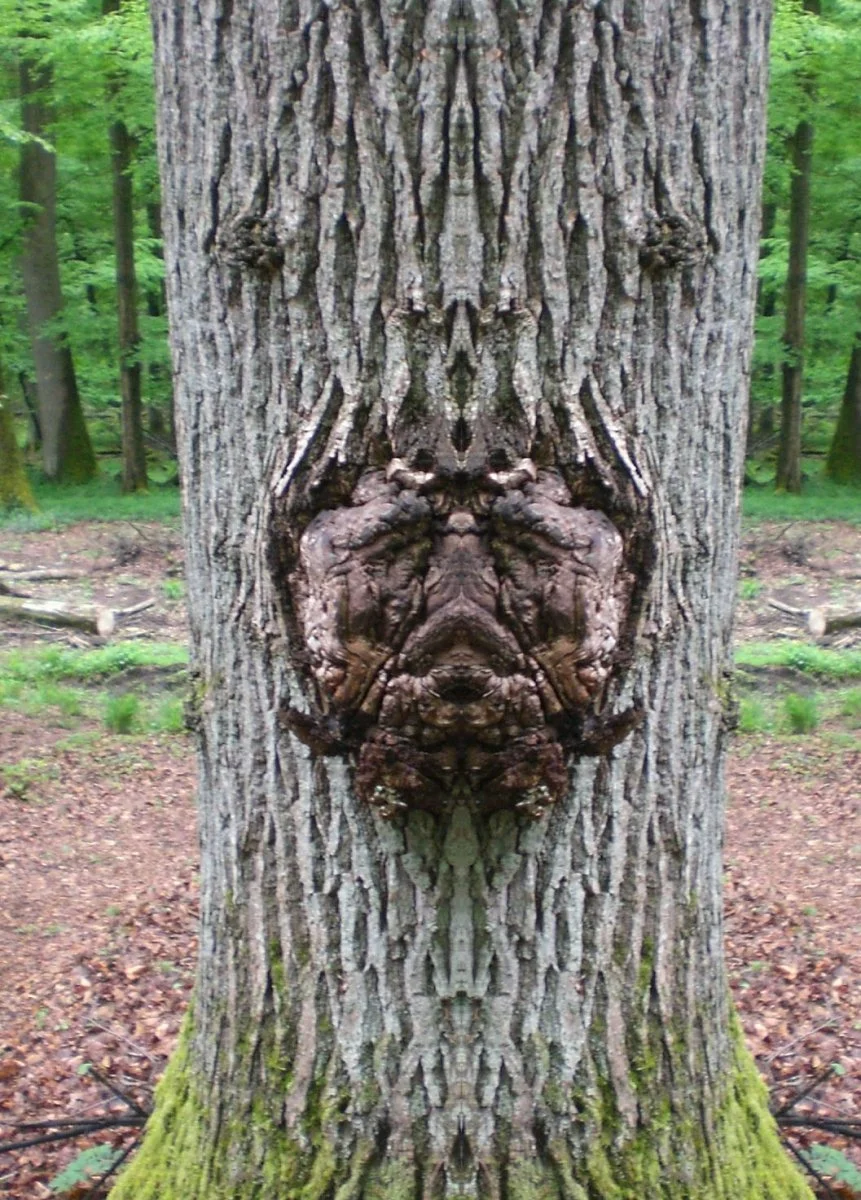 Baumgeist.jpg