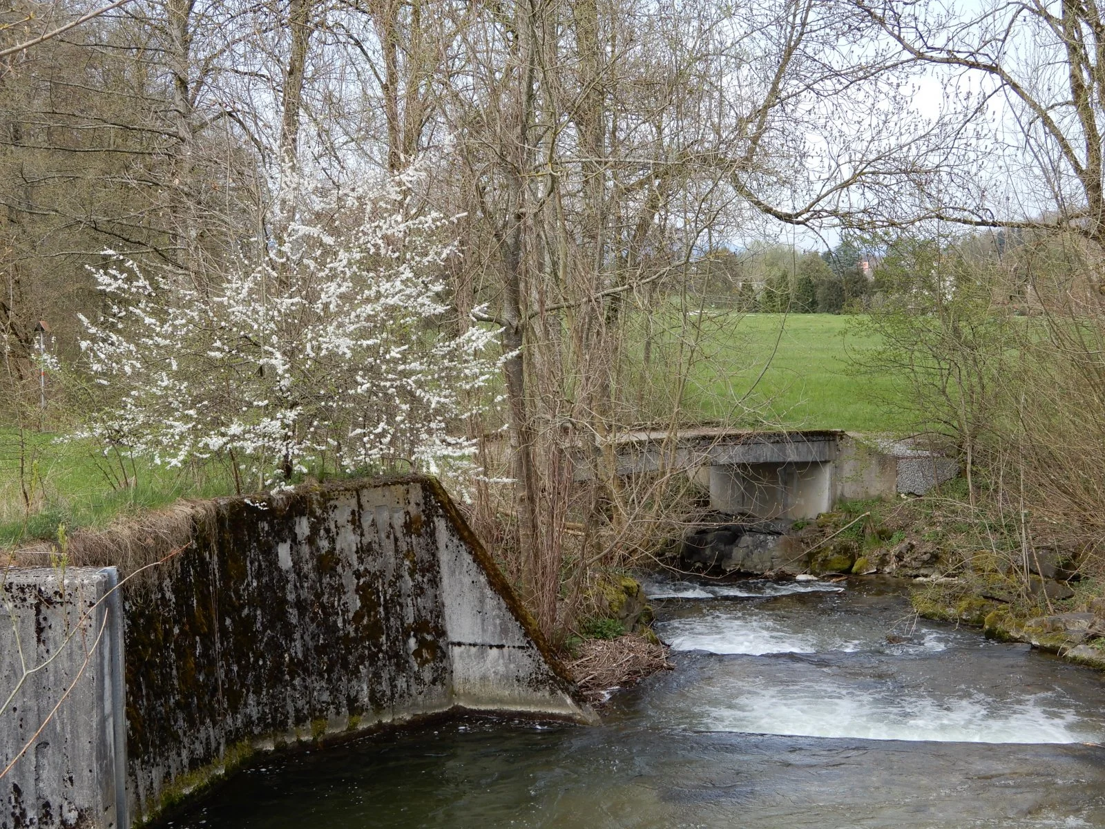 Bei Langenthal