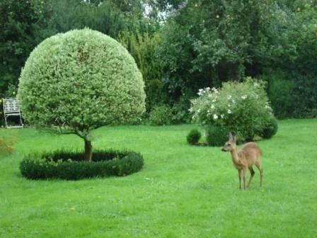 Besuch im Garten
