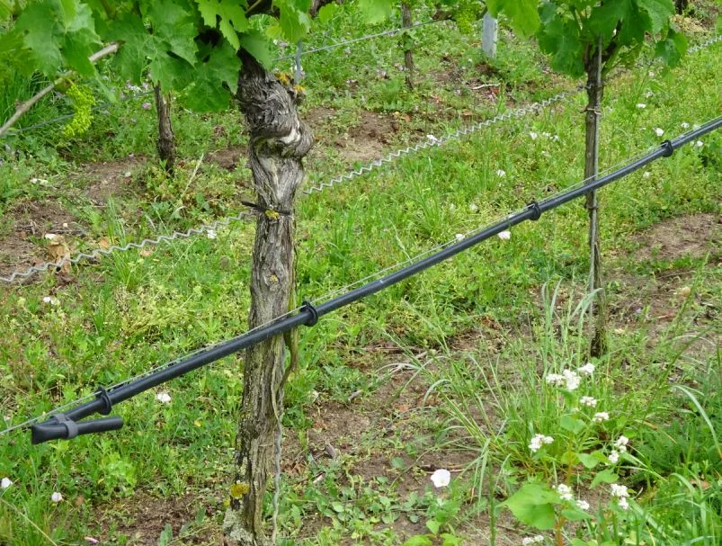 bewässer3.JPG