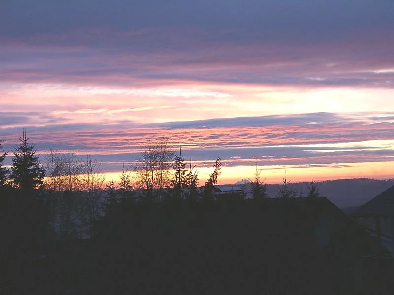 Bild0131