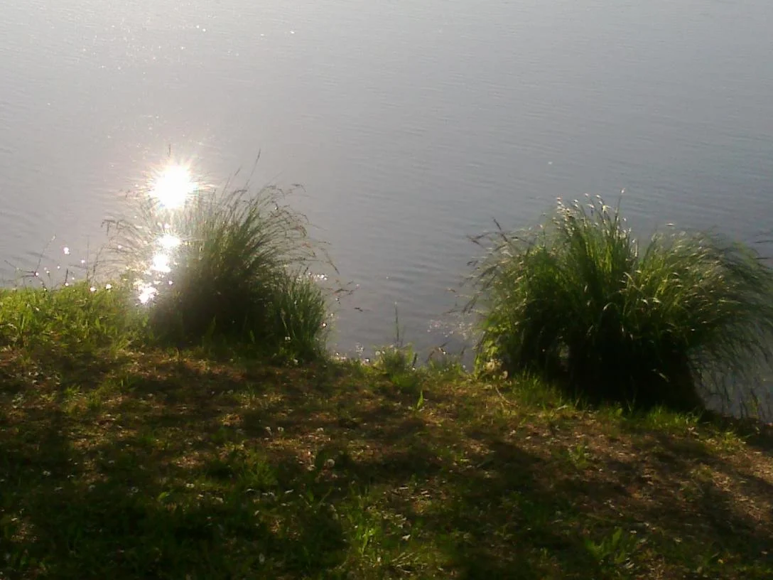 Bilder 21.05.11 190.jpg