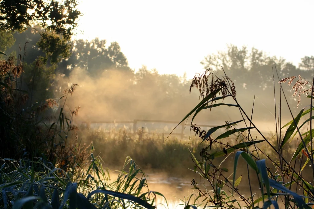 Billwerder Okt.09 073 (1024x683).jpg