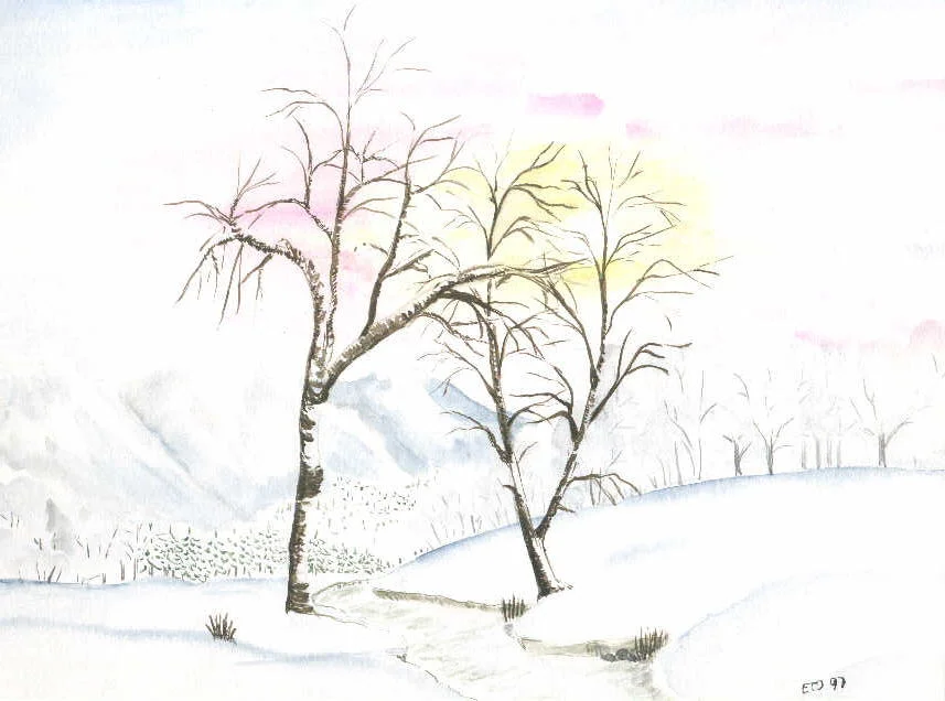 Birke im Winter.JPG