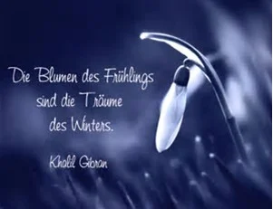 Blumen.jpg