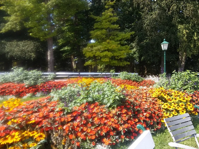 Blumenmeer_9.jpg