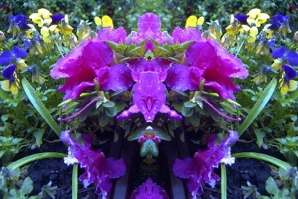 blumenspie.jpg