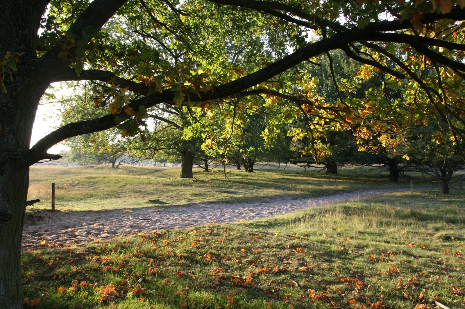 Boberg Oktober 2010 031.jpg