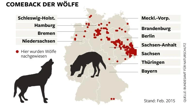 bundesamtwolf.jpg