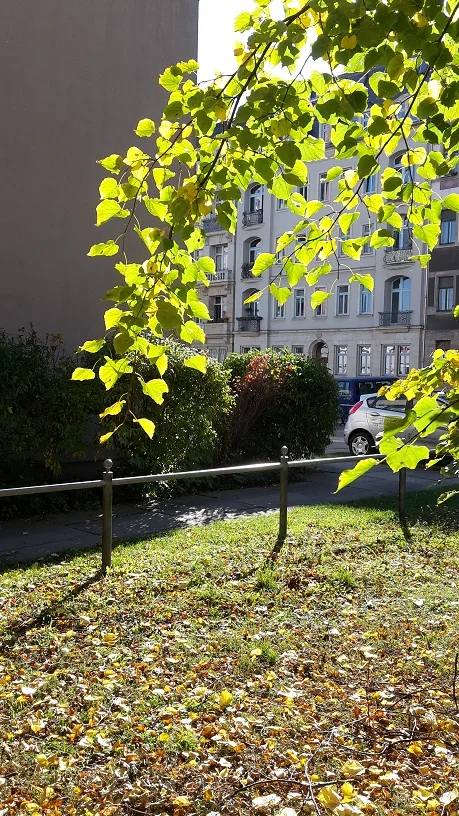 Bundschuhstrasse