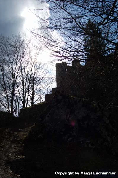 Burgruine Wartenfels in Thalgau