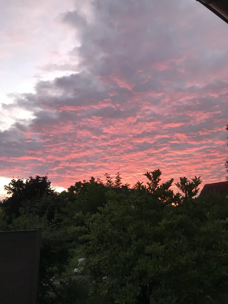 C9679852-7AE4-46A0-9230-6516E996D79F.jpeg