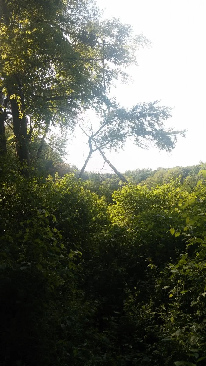 CAM01016.jpg