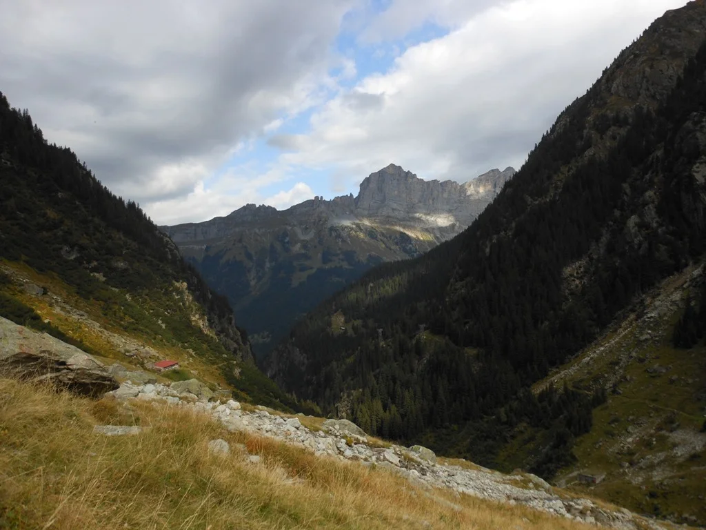 D0120.JPG