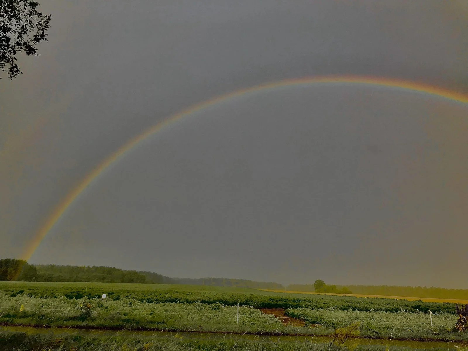 D065F00B-D4CB-4215-A718-50362647CA53.jpeg