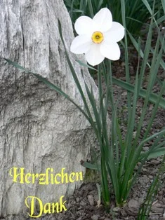 danke1.jpg