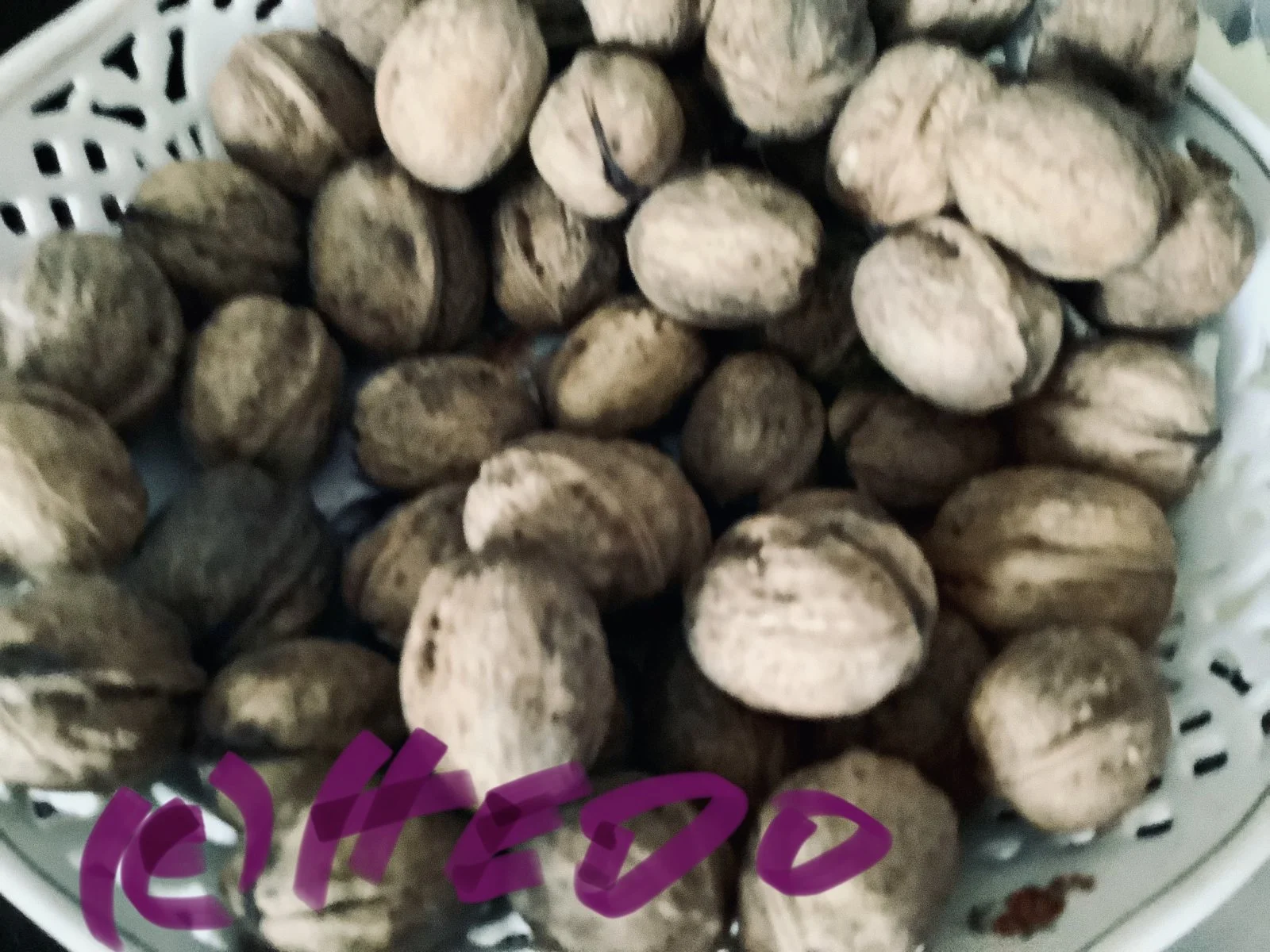 DC2583FF-CB3F-4D91-AD93-94316623F79F.jpeg