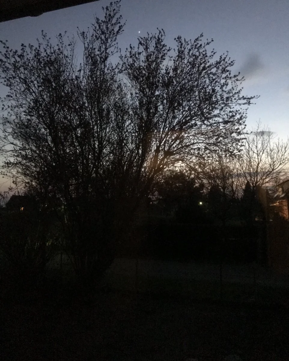 DEAAE575-5691-4BF4-BD29-F691564BD69B.jpeg
