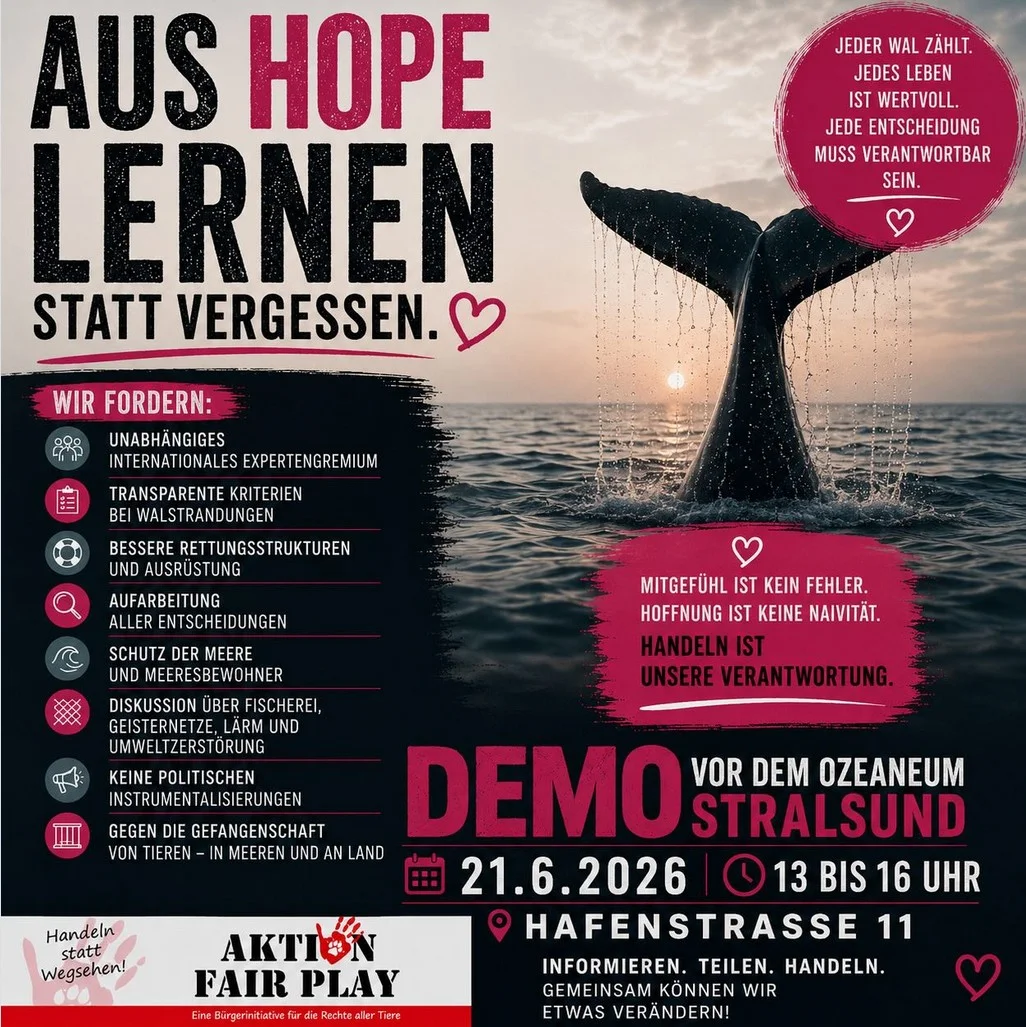 Demo-Stralsund_21Juni2026.webp
