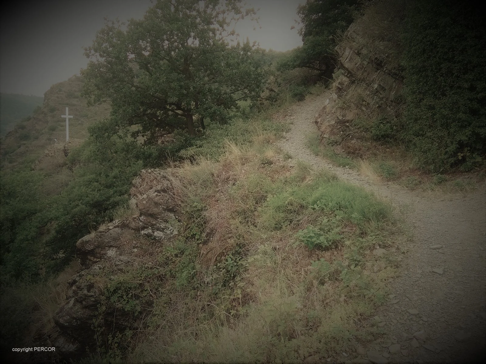 Der Weg.jpg