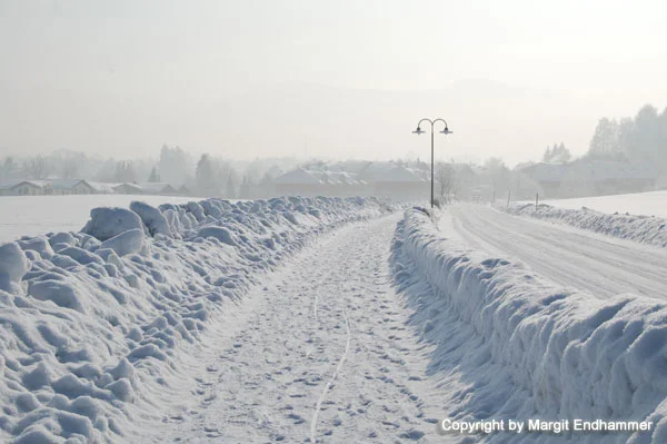 Der Weg nach Hause...