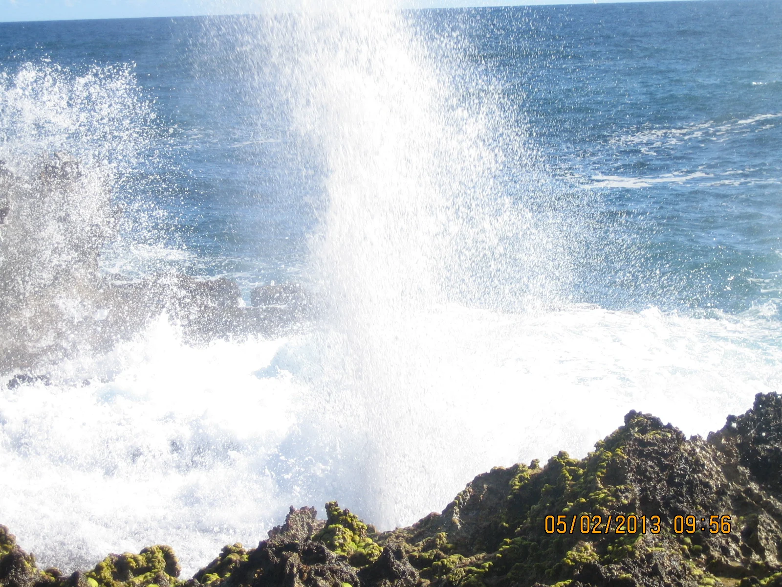 DomRep2013 153.JPG