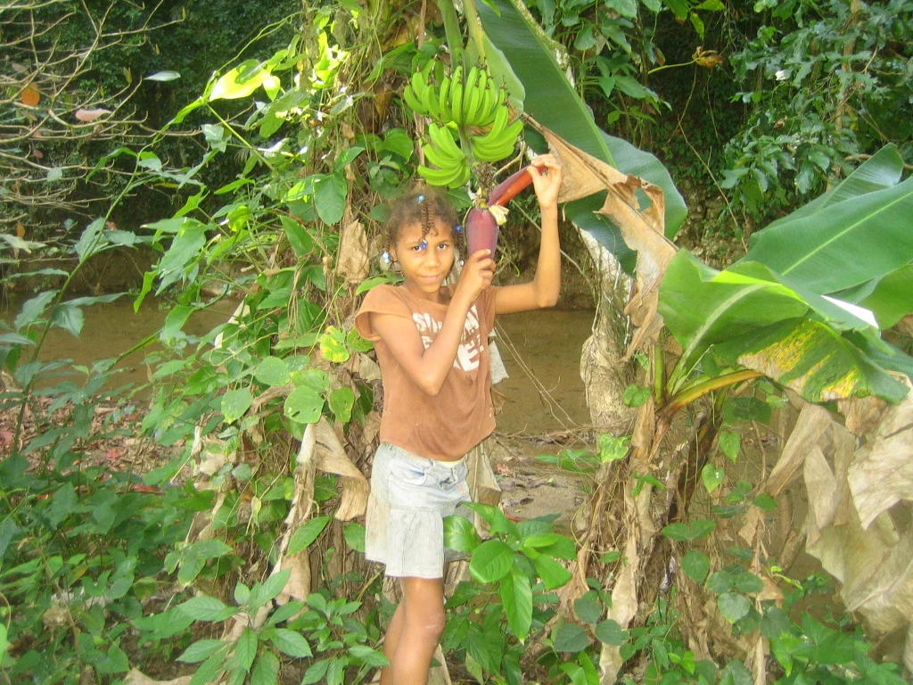 Domrep_0111 591.jpg