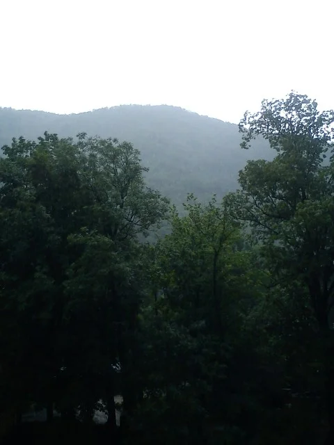 DSC00008.jpeg
