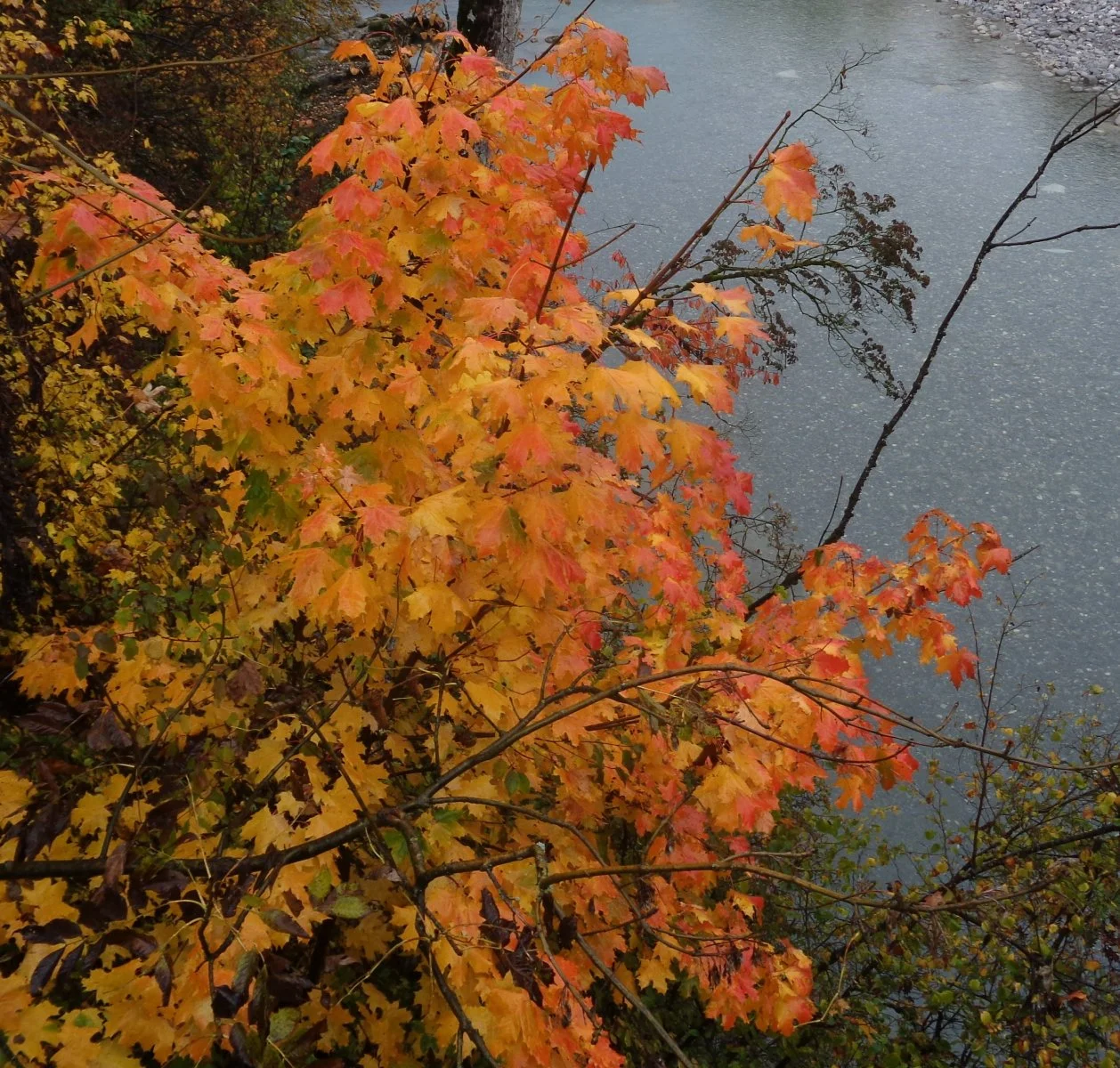 DSC00022.jpg
