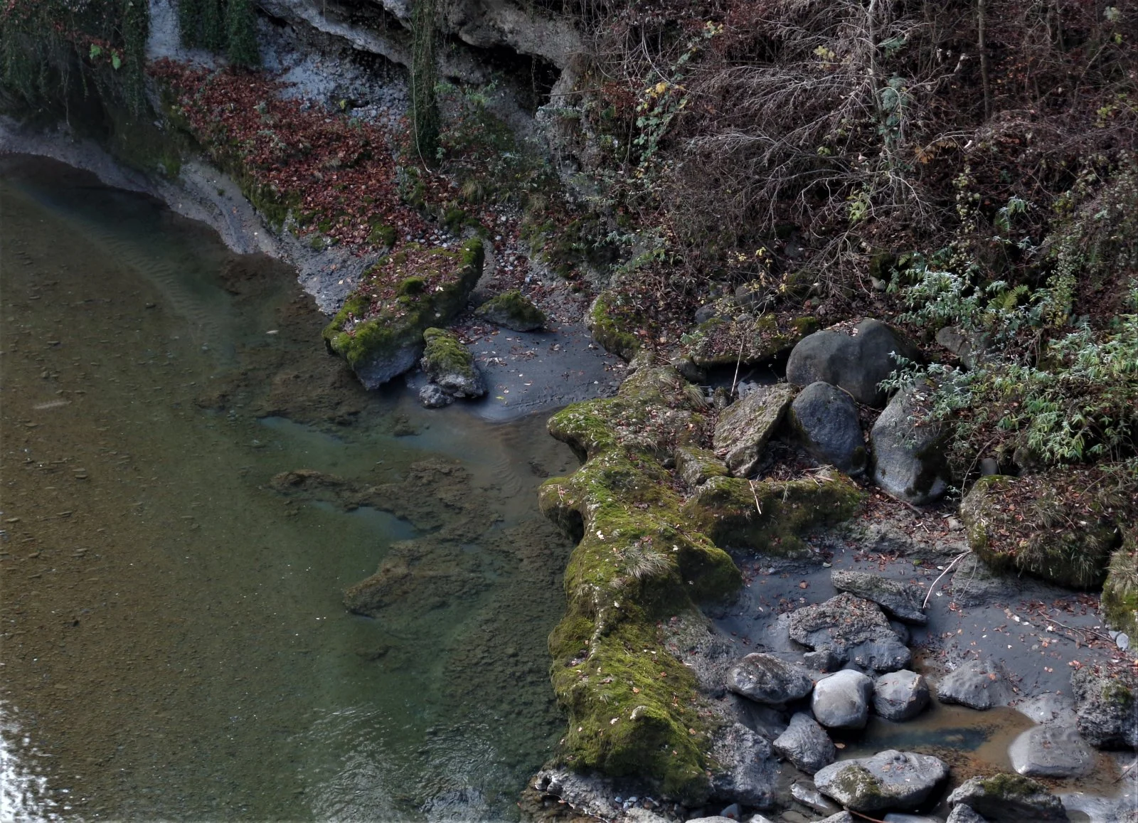DSC00251.jpg.neu.jpg