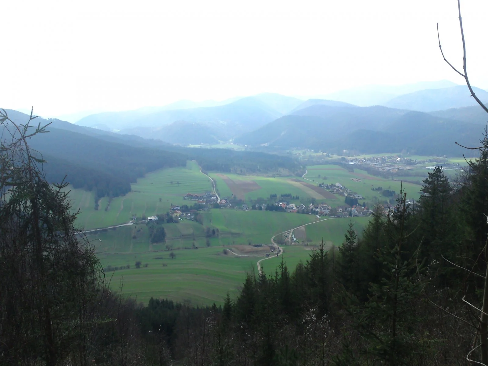 DSC00548