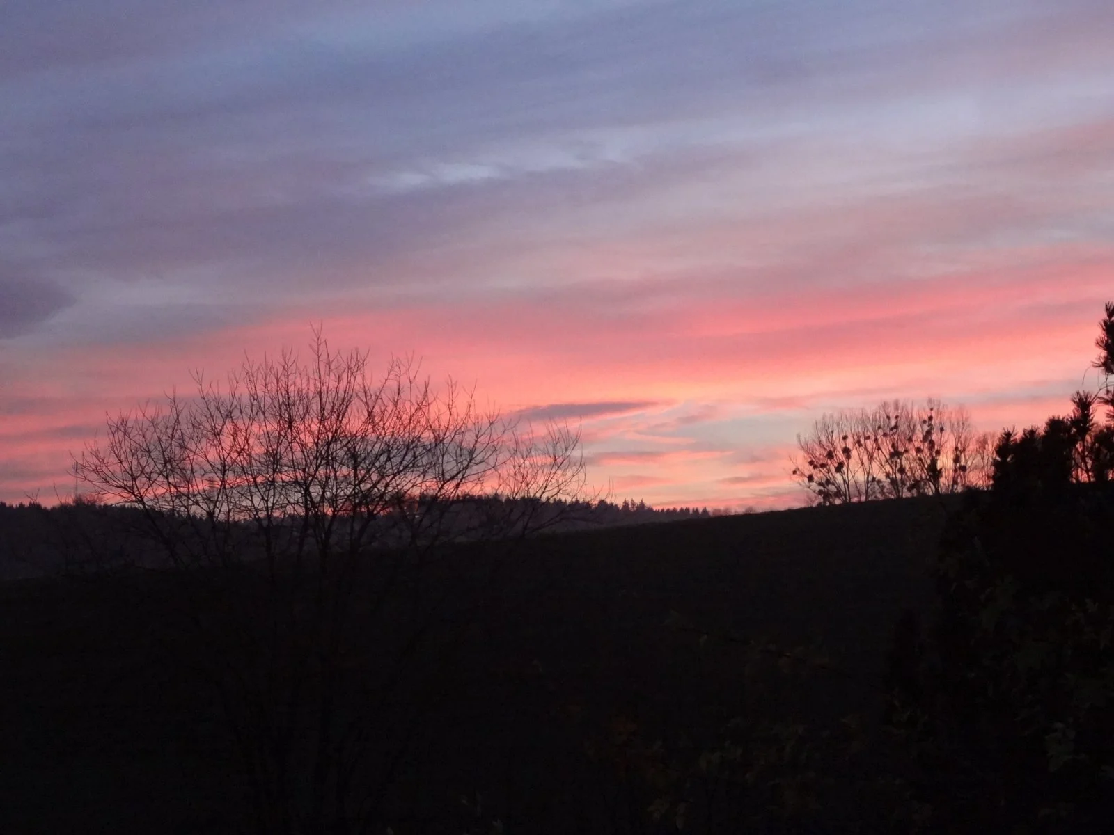 DSC00619.JPG