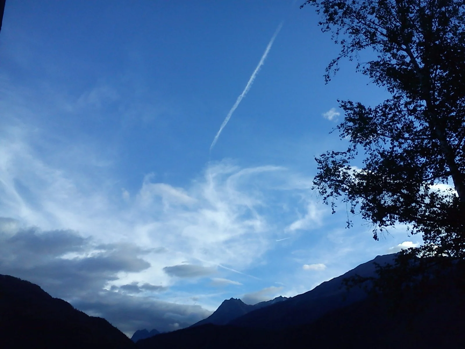 DSC00635