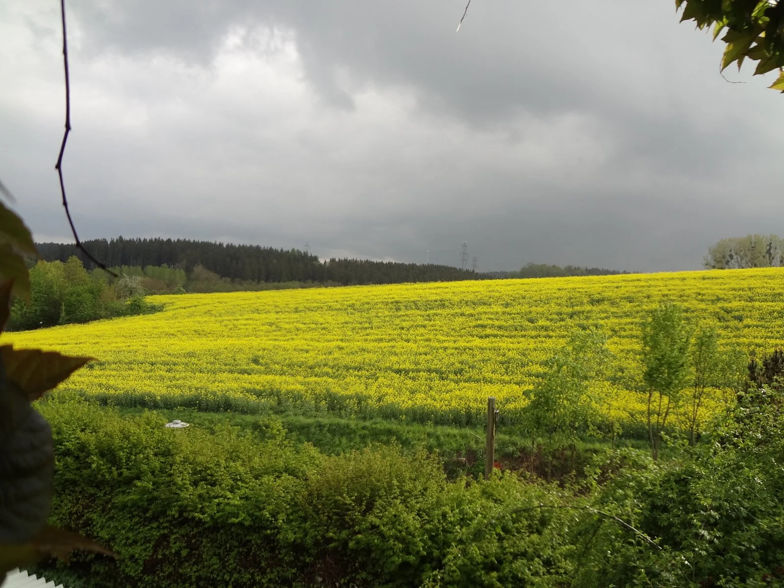 DSC00759.JPG