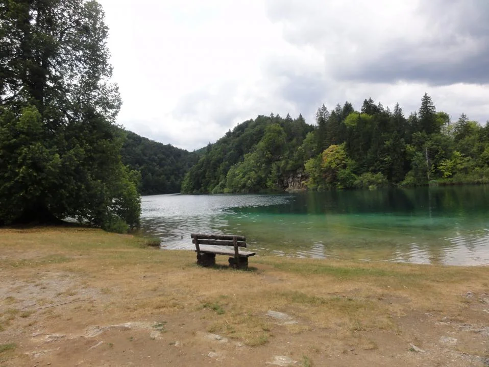 DSC01332.jpg