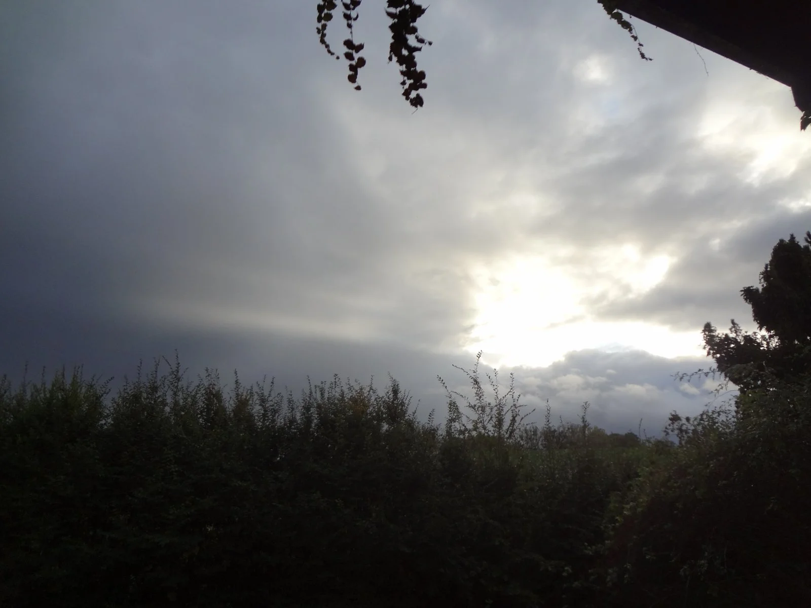 DSC01367.JPG