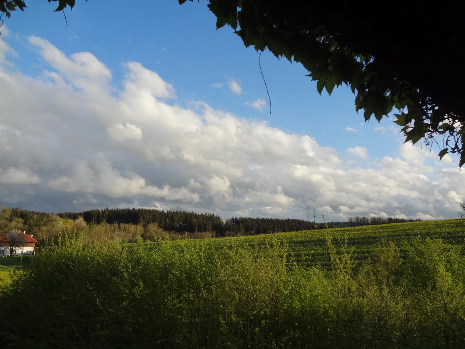 DSC01407.JPG
