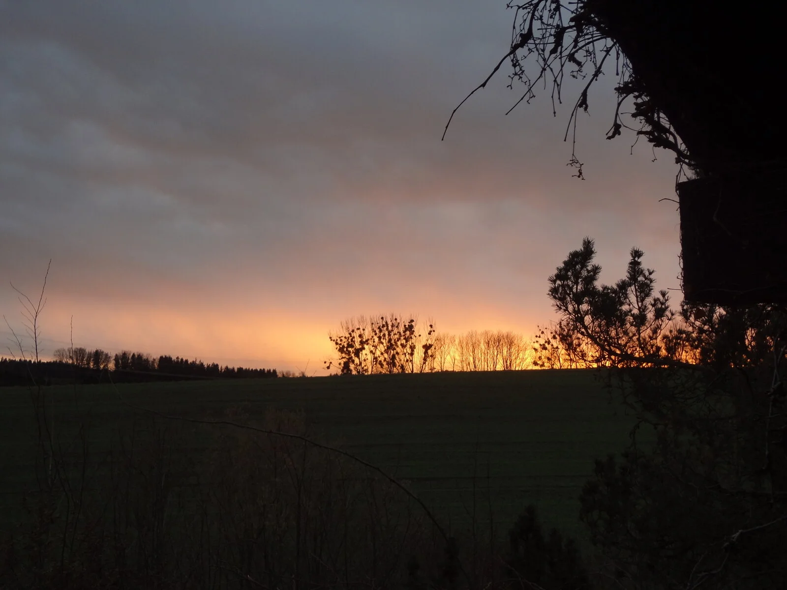 DSC01443.JPG