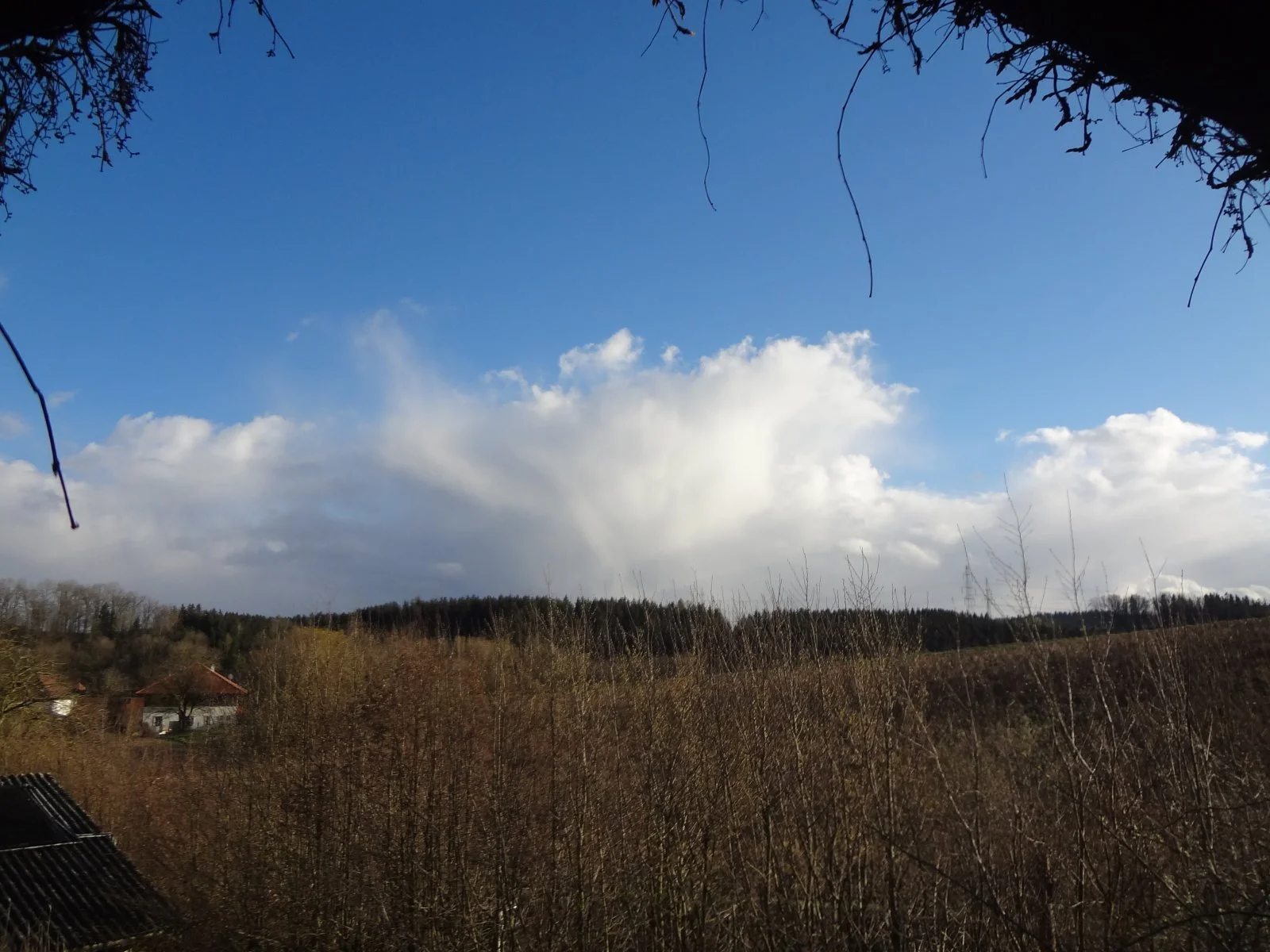 DSC01536.JPG