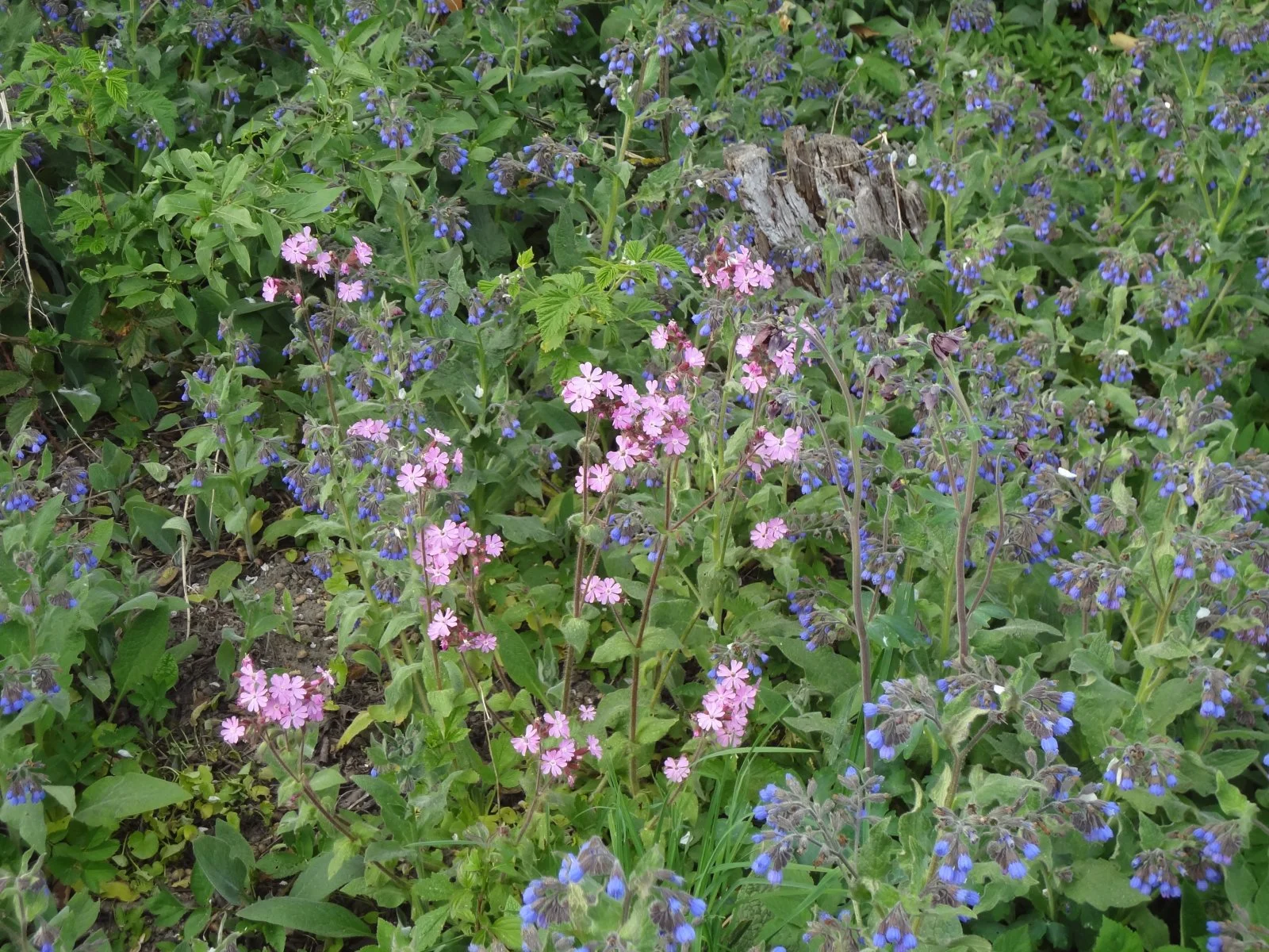 DSC01618.JPG