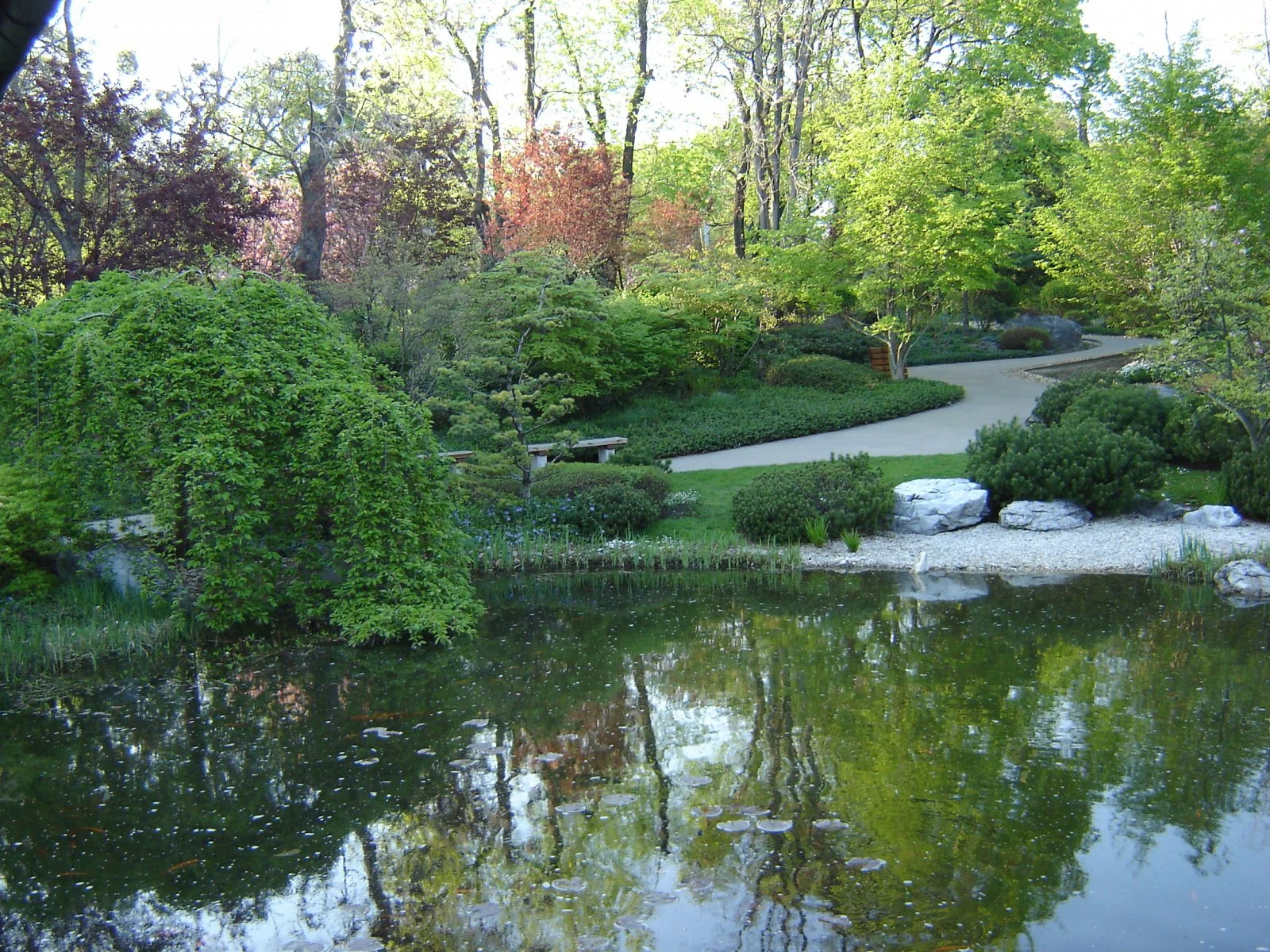DSC01669.JPG